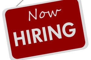 Read more about the article Small Business Basics: Hiring Employees